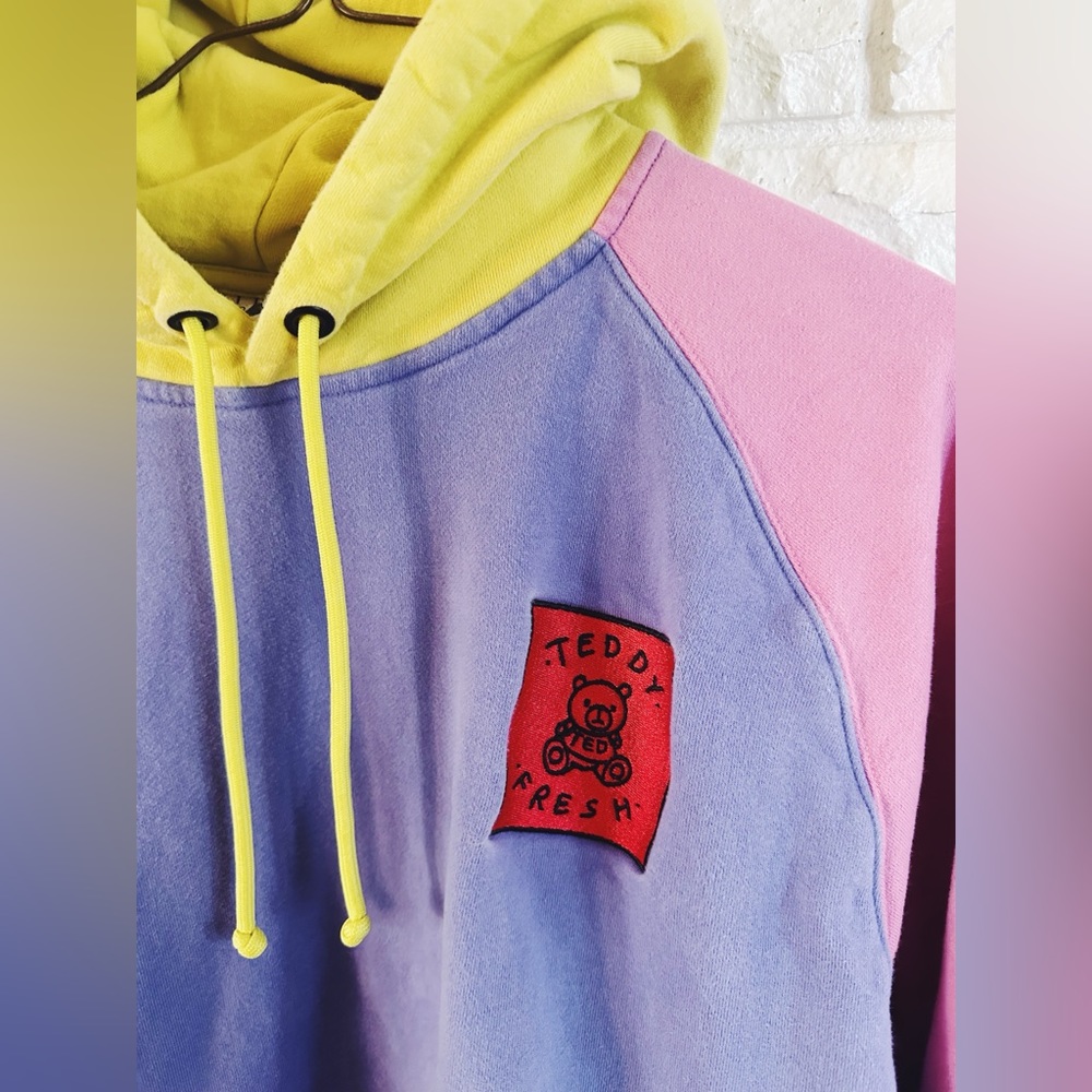 Teddy Fresh Color Block Hooded Sweatshirt - Picture 5 of 7